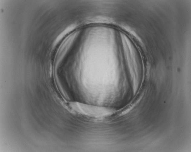 X0000081341317200701251849