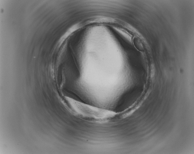 X0000081341321200701251849