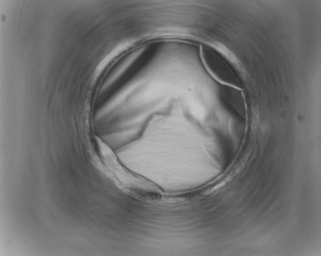 X0000081341325200701251849