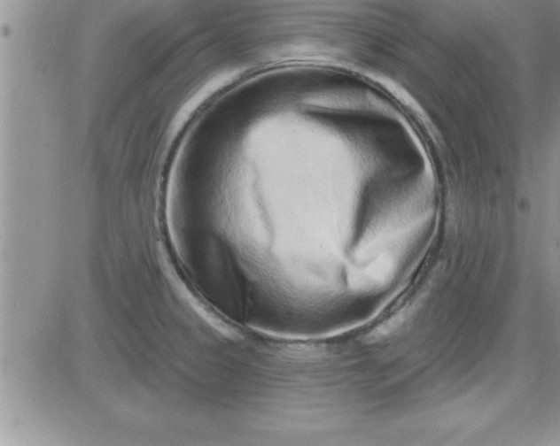 X0000081341333200701251849