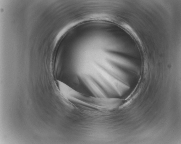 X0000081341336200701251849