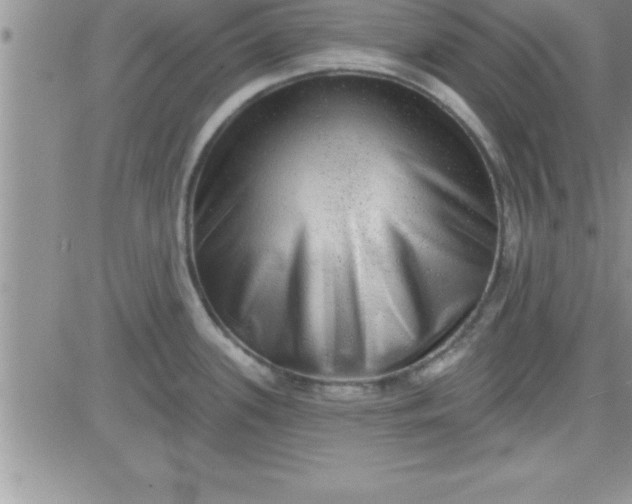 X0000081341339200701251849
