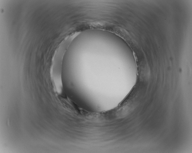 X0000081341345200701251848