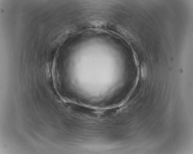 X0000081341347200701251848