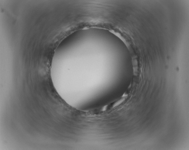 X0000081341349200701251848