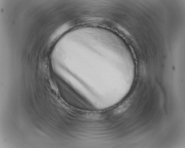 X0000081341354200701251848