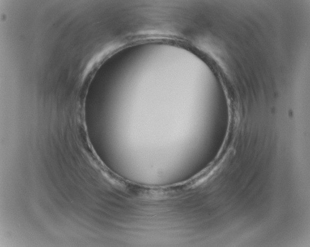 X0000081341357200701251848