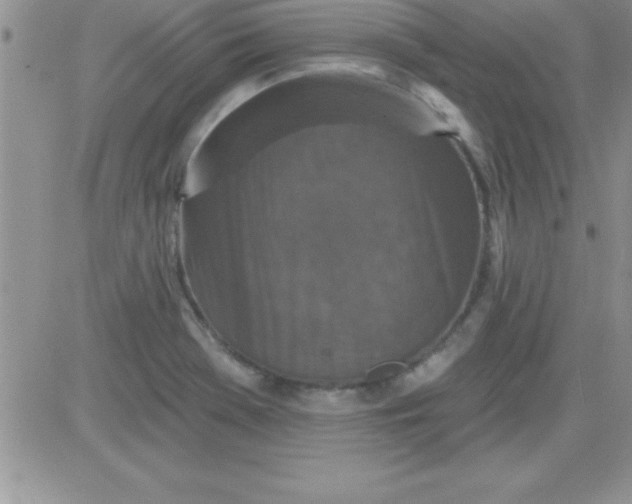 X0000081341369200701251848