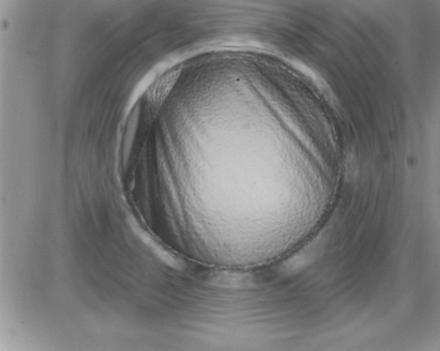 X0000081341374200701251848