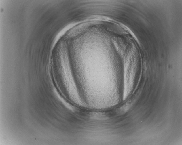 X0000081341379200701251848