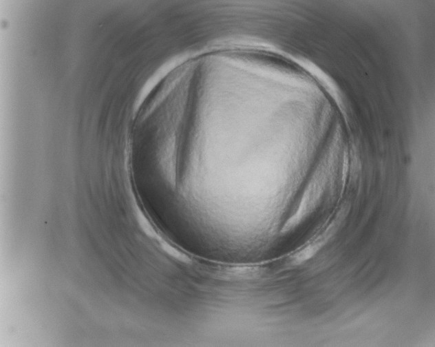 X0000081341390200701251848
