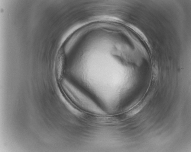 X0000081341391200701251848