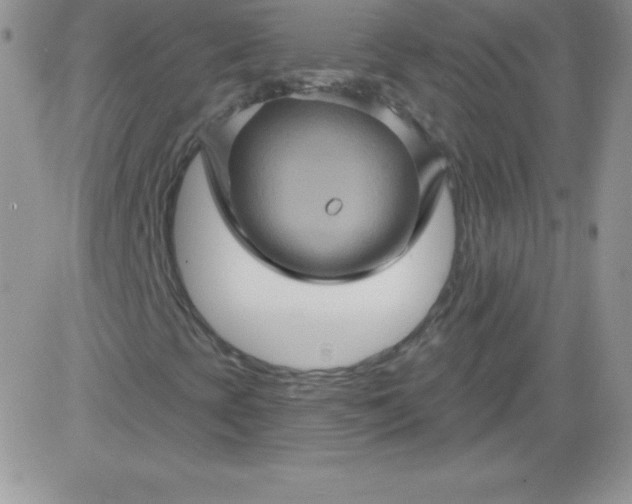 X0000081341393200701251847