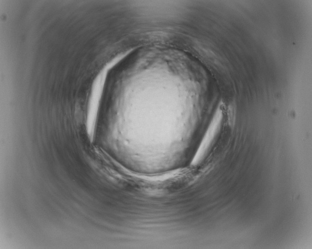 X0000081341395200701251847