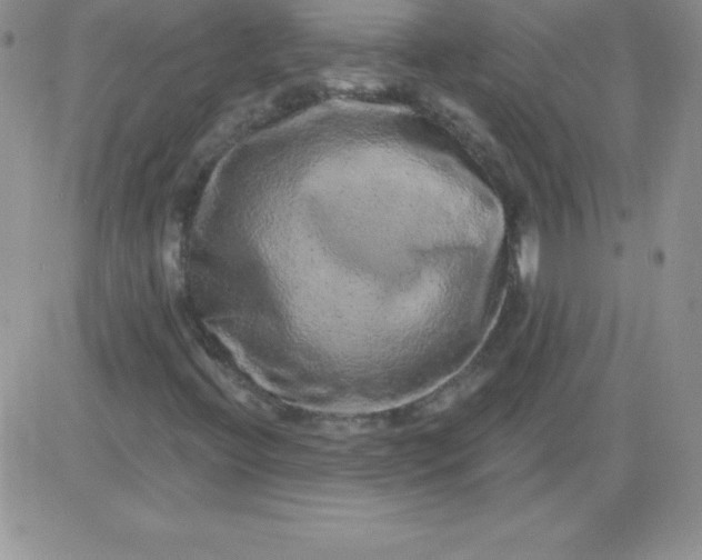 X0000081341396200701251847