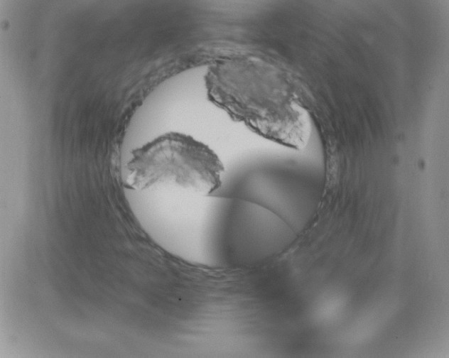 X0000081341397200701251847