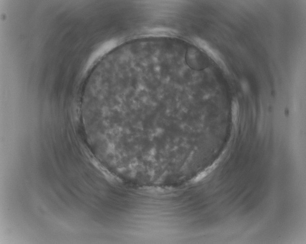X0000081341405200701251847