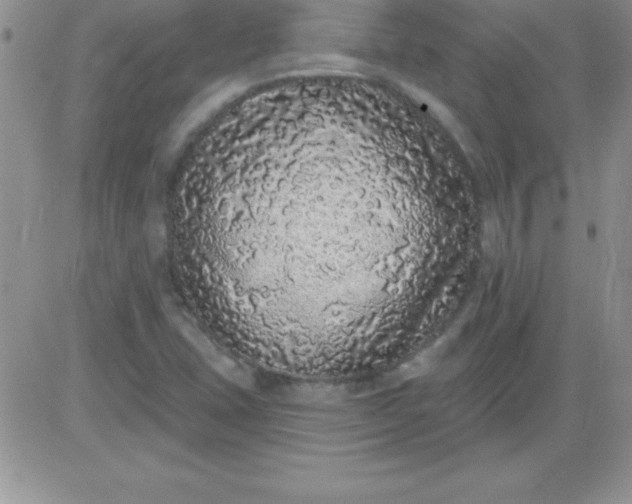 X0000081341407200701251847
