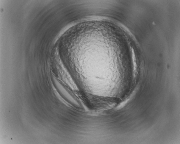 X0000081341417200701251847