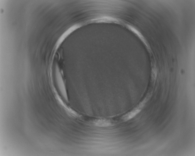 X0000081341418200701251847