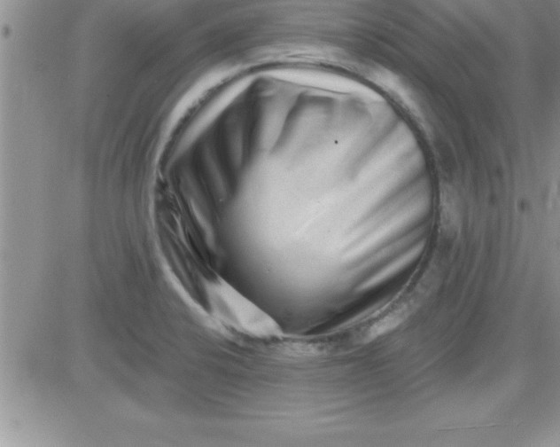 X0000081341424200701251847