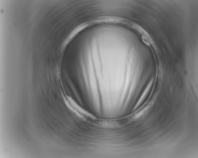 X0000081341433200701251848