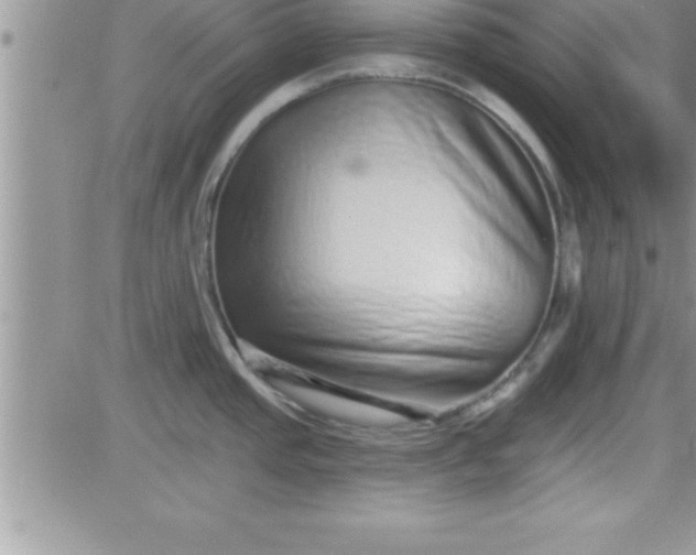 X0000081341437200701251848