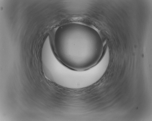 X0000081341441200701251847