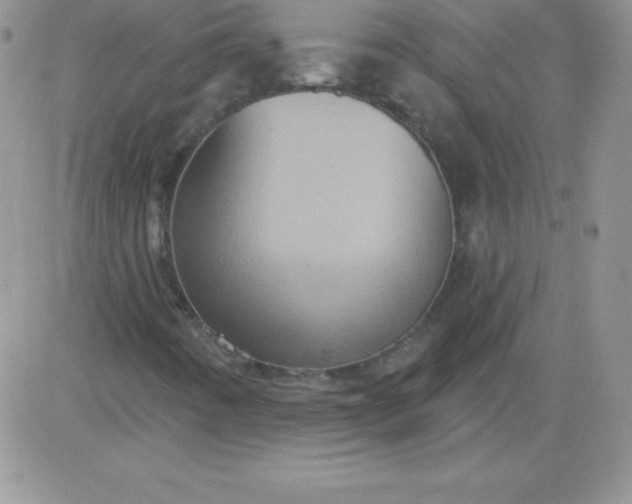 X0000081341442200701251847