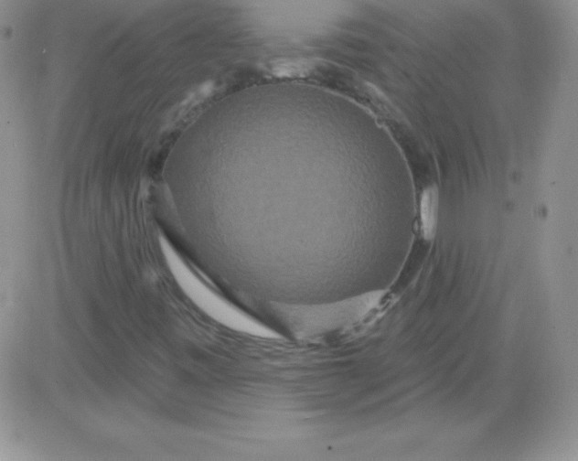 X0000081341443200701251847