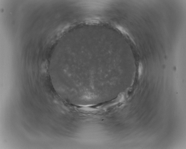 X0000081341445200701251847