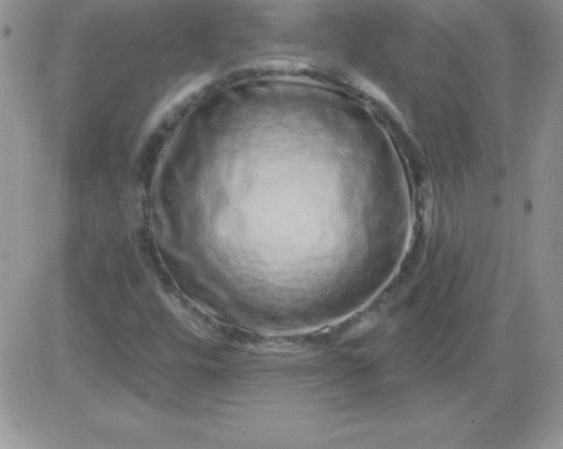 X0000081341448200701251847