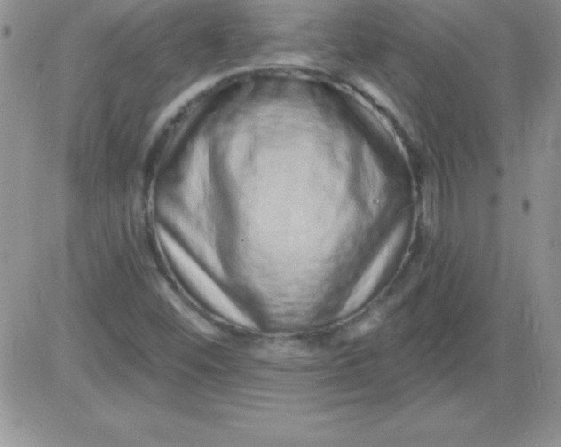 X0000081341452200701251847