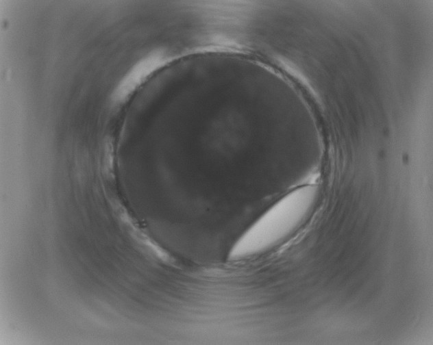 X0000081341455200701251847