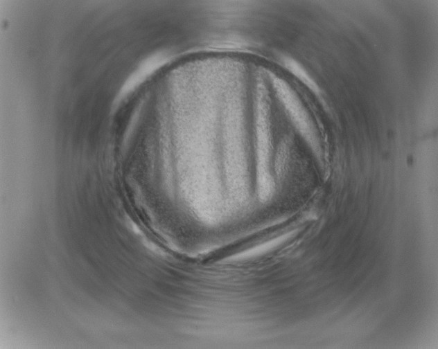 X0000081341456200701251847