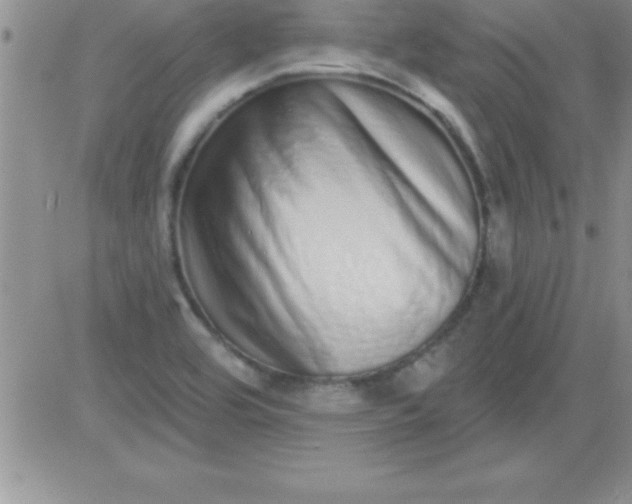 X0000081341464200701251847