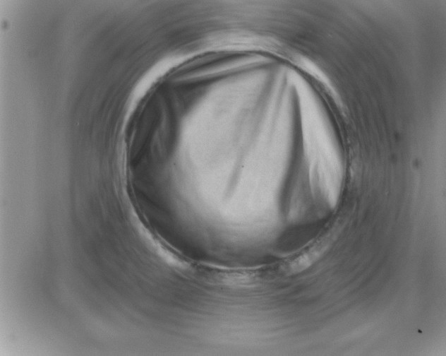 X0000081341472200701251846