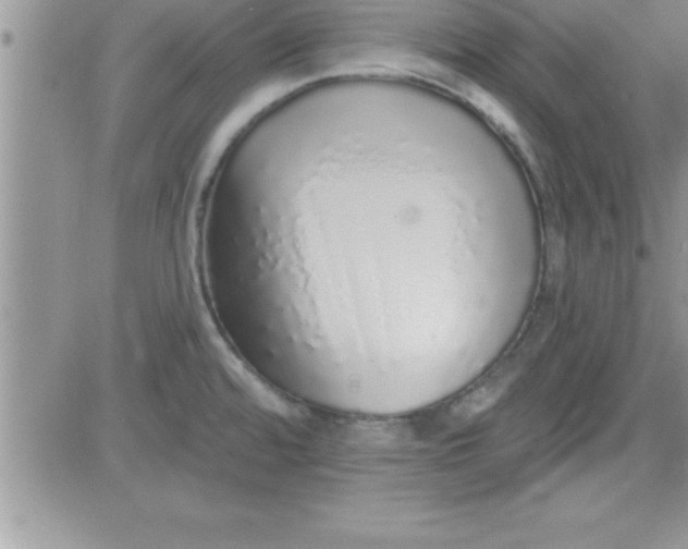 X0000081341480200701251846