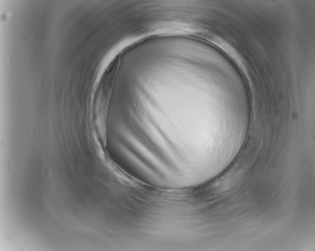 X0000081341488200701251846