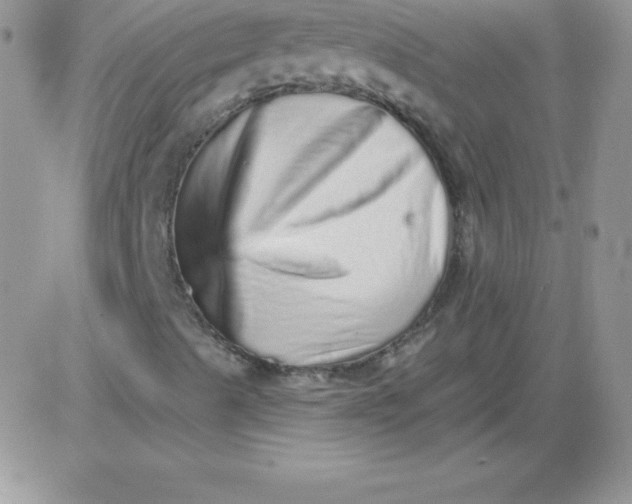 X0000081341489200701251845