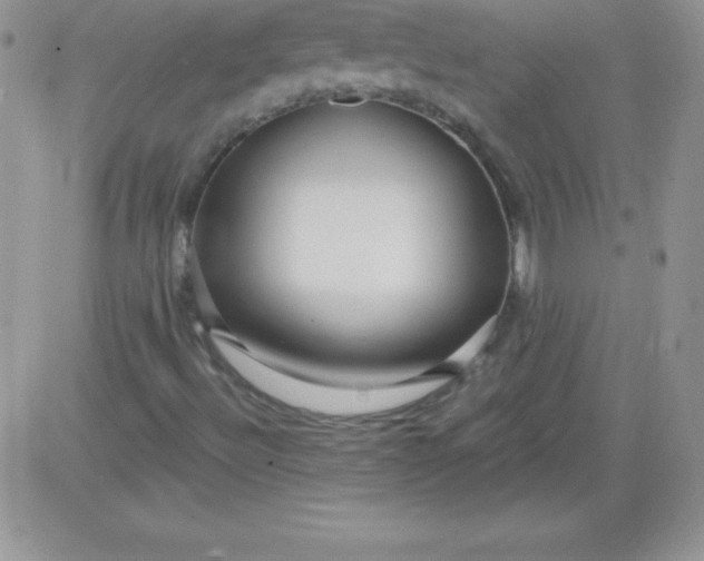X0000081341492200701251845