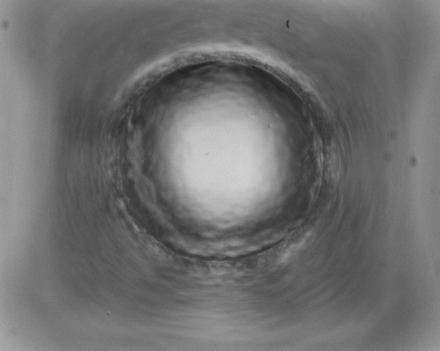 X0000081341494200701251845