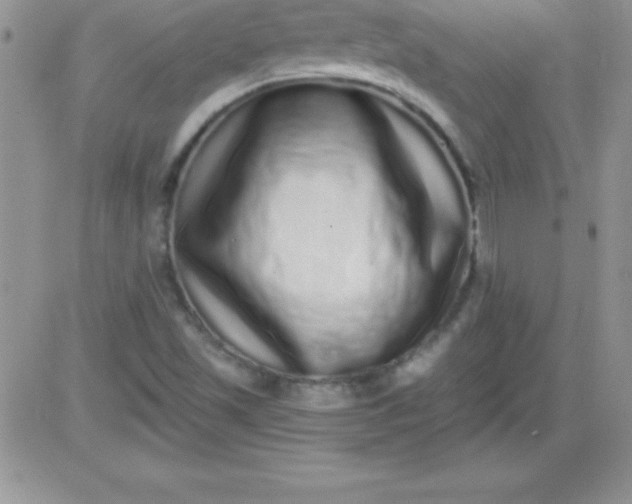 X0000081341501200701251846