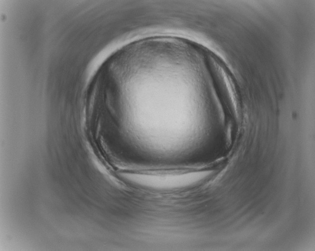 X0000081341511200701251846