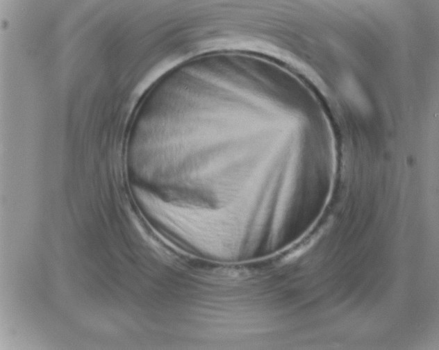 X0000081341513200701251846