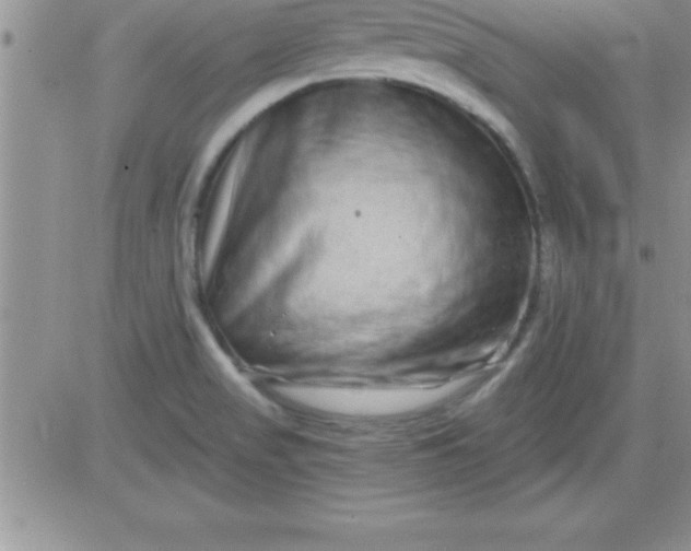 X0000081341517200701251846