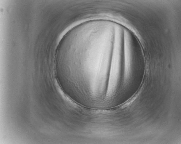 X0000081341534200701251846