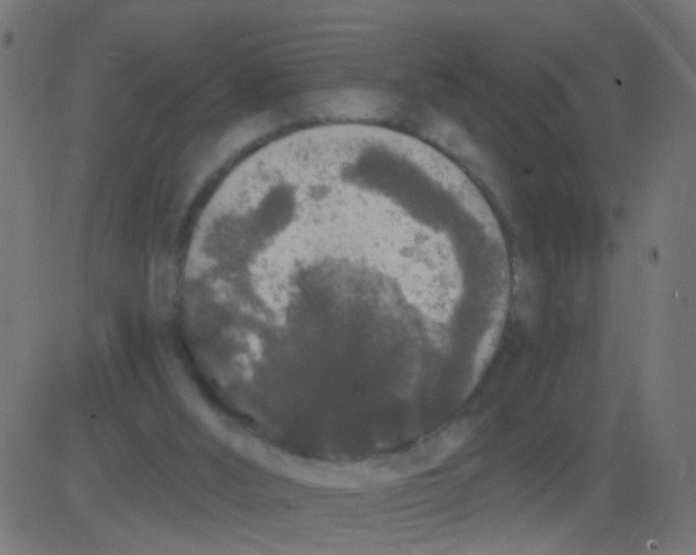 X0000081340012200702020101