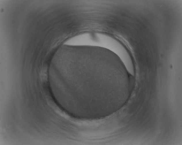 X0000081340017200702020101