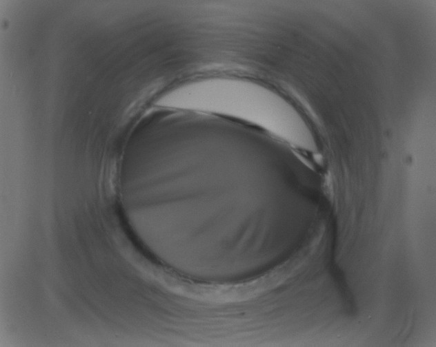 X0000081340023200702020101